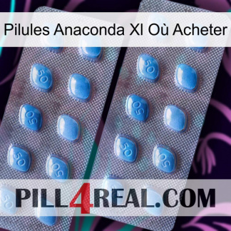 Pilules Anaconda Xl Où Acheter viagra4